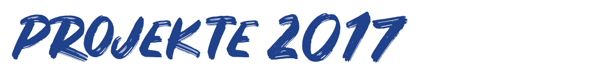 PROJEKTE 2017